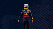 Red Bull Mexico GIF by Oracle Red Bull Racing