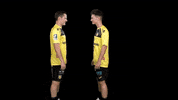 Handball GIF by HSC 2000 Coburg