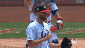 Ny Mets Sport GIF by New York Mets