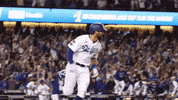 Los Angeles Celebration GIF by MLB