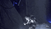 Amas 2019 GIF by AMAs