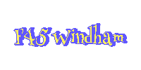 F45-Windham f45 windham f45 windham Sticker