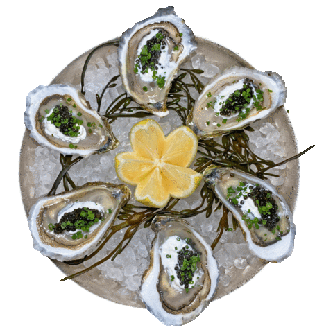 Grill Oysters Sticker by Major Food Group