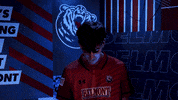 Belmontbruins GIF by Belmont Athletics