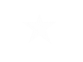 White Star Sticker