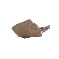 Q Jelly Sticker by 食食肉舖