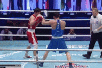 Boxing GIF by Bekzatsport