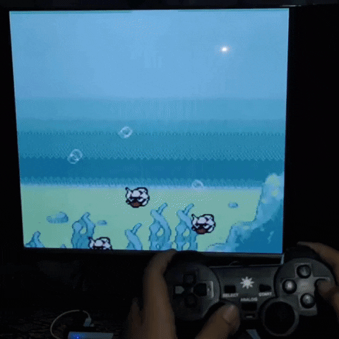 sandbox123 giphyupload GIF