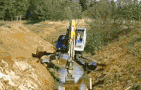 its alive climbing GIF