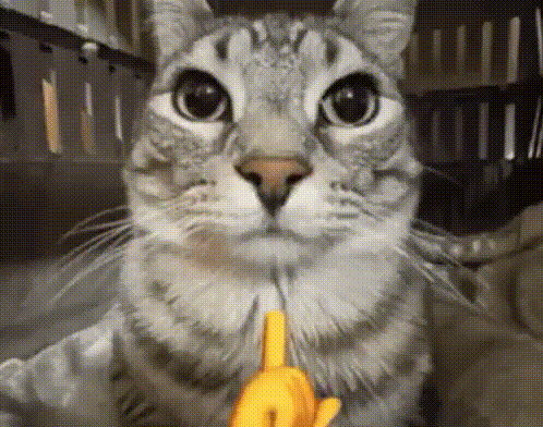 Chitauri giphyupload GIF