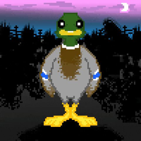 Pixel Duck GIF by Noah Malloy