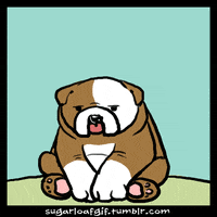 dog fart GIF