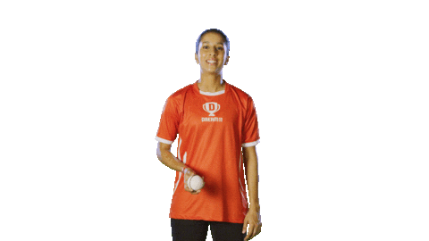 Team India Ipl Sticker by Dream11