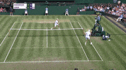 american running GIF by Wimbledon