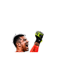 Winner Champion Sticker by Reusch