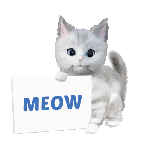 KittenSoftIreland giphyupload cat kitten meow Sticker