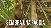 simona ventura isola 12 GIF by Isola dei Famosi