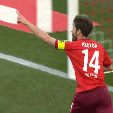 1 Fc Cologne Football GIF by 1. FC Köln