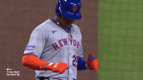New York Mets Sport GIF by MLB