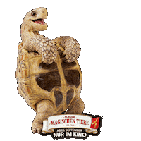 Kino Kinofilm Sticker by Die Schule der magischen Tiere - Der Film