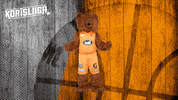 The Bear Mascot GIF by Basket_fi