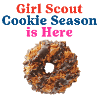 Cookies Thinmints Sticker by Little Brownie Bakers