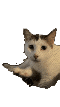 Cat 猫 Sticker