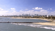 ver formula 1 GIF by Red Bull Racing
