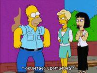 homer simpson GIF