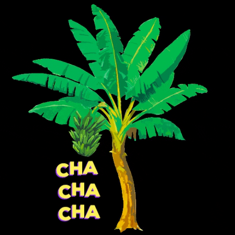 mariquitas_emojis giphygifmaker plantains plantainchips cubanfood GIF