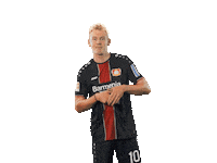 bundesliga werkself Sticker by Bayer 04 Leverkusen