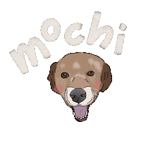 Dog Pet Sticker