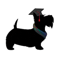 Class Of 2020 Scotty Sticker by Carnegie Mellon University