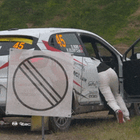 FIA-ERC car monday lost search GIF