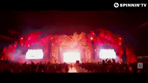 festival fireworks GIF by Spinnin' Records
