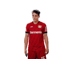 Bayer 04 Selfie Sticker by Bayer 04 Leverkusen