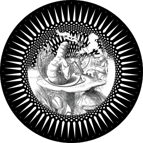 Loop Circle Sticker