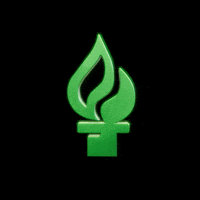 South Florida Usf GIF by Judy Genshaft Honors College