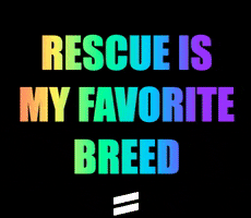 bestlifeleashes puppy dogs adopt cute dogs GIF