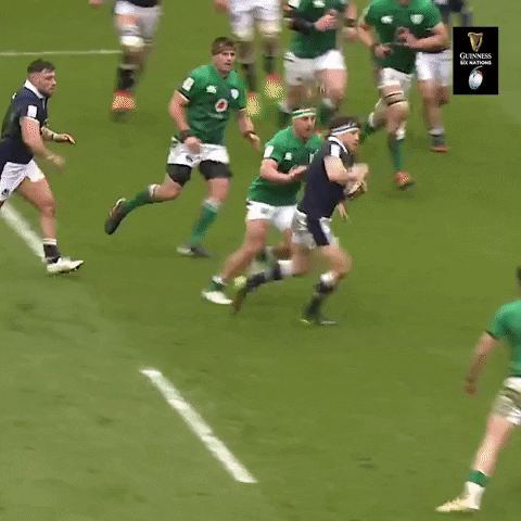 Irish Rugby GIF by Guinness Six Nations