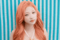 Stare Stella GIF