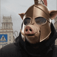 Pig Sparta GIF