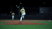 oruathletics oru orubaseball oral roberts oruathletics GIF