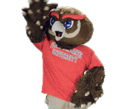 Fau Owls Sticker by Florida Atlantic University