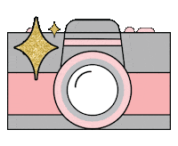 Photography Camera Sticker by SHE x SHINES