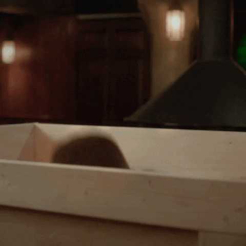 Nick Offerman GIF by Guinness US