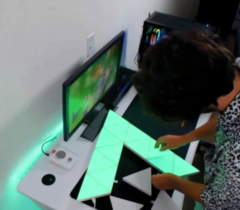 mwagner13 giphyupload GIF