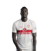 Quiet Please Football Sticker by VfB Stuttgart