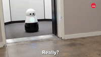 Fun With A Robot