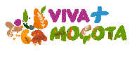 Cacapava Sticker by Caçapava Oficial